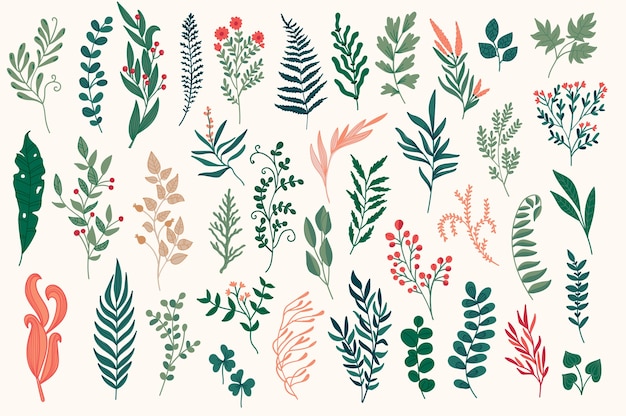 Vector hand drawn floral decorative elements, leaves, flowers, herbs and branches botanical doodles set