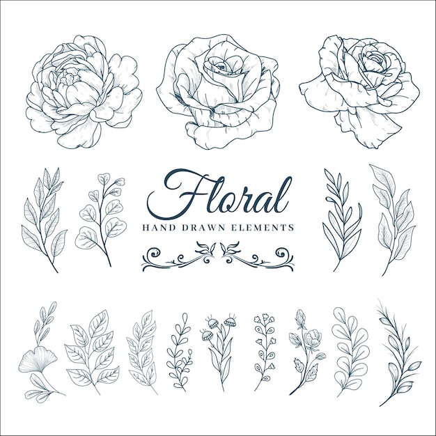 Hand Drawn Floral Decorative Elements Set