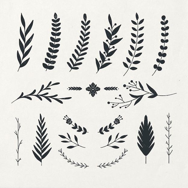 Vector hand drawn floral decorative elements