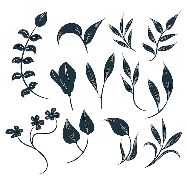 Vector hand drawn floral design collection