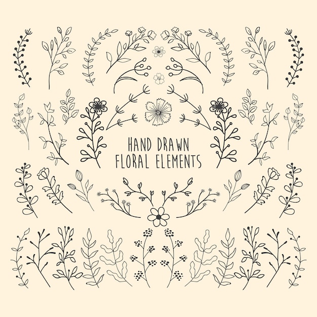 Hand drawn floral element set ornamental vector set