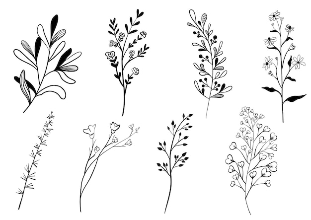 Hand drawn floral elements botanical set vector illustration