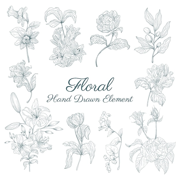 hand drawn floral elements collections