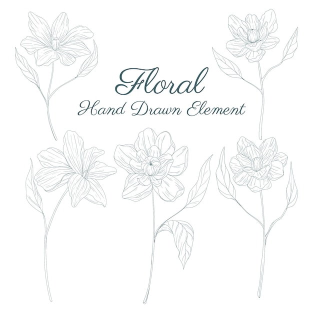 hand drawn floral elements collections