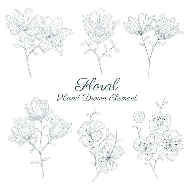 hand drawn floral elements collections