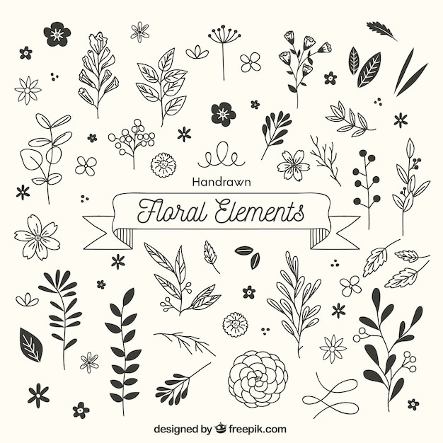 Vector hand drawn floral elements with sketchy style