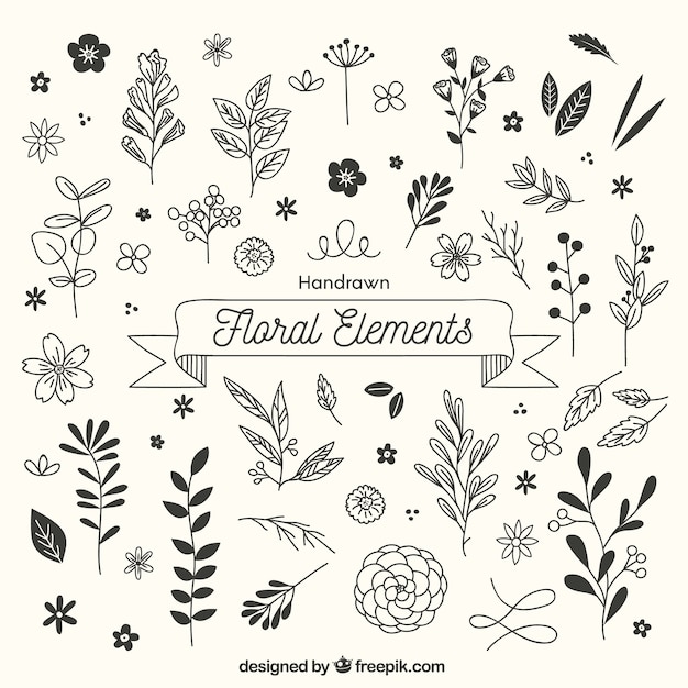 Hand drawn floral elements with sketchy style