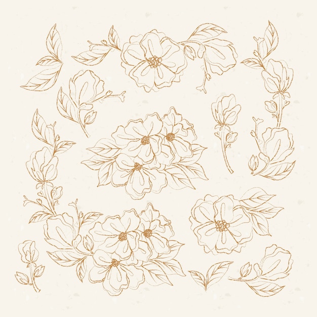 Vector hand drawn floral elements