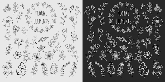 Vector hand drawn floral elements