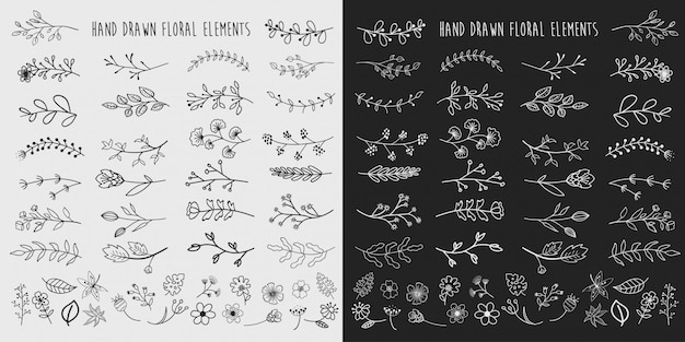 Vector hand drawn floral elements