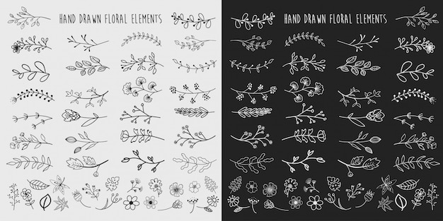 ベクトル 手描きの花の要素