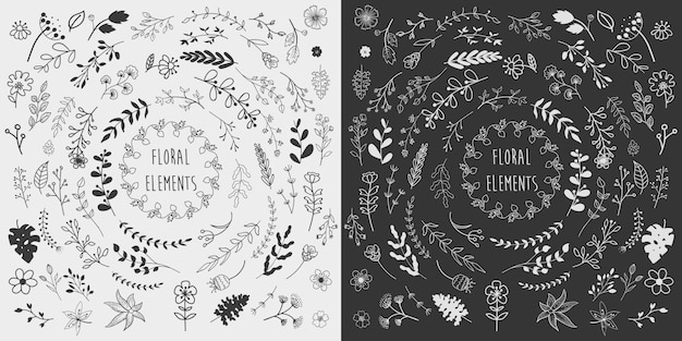 Hand drawn floral elements