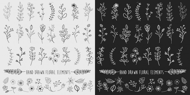 Vector hand drawn floral elements