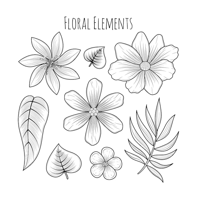 Vector hand drawn floral elements