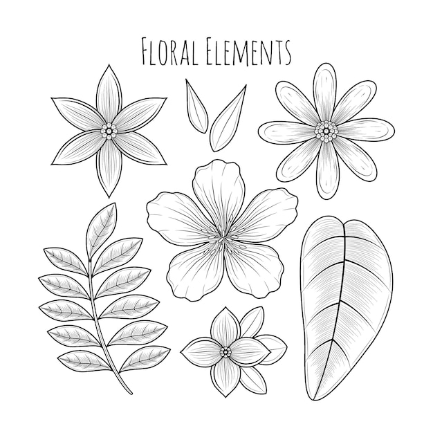 Vettore elementi floreali disegnati a mano