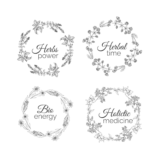 Vector hand drawn floral frames collection