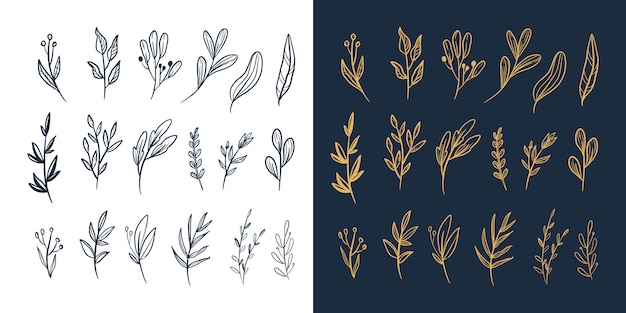 Hand drawn floral and leaves foliage vector new big set