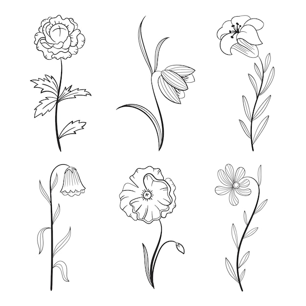 Vector hand drawn floral ornament line art collection