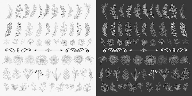 Hand Drawn Floral Ornaments Vector