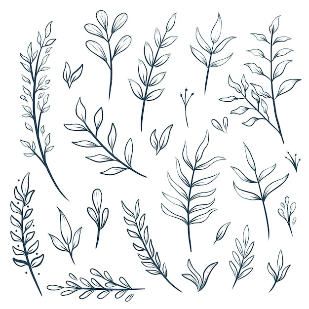 Vector hand drawn floral outline leaf decorative elements