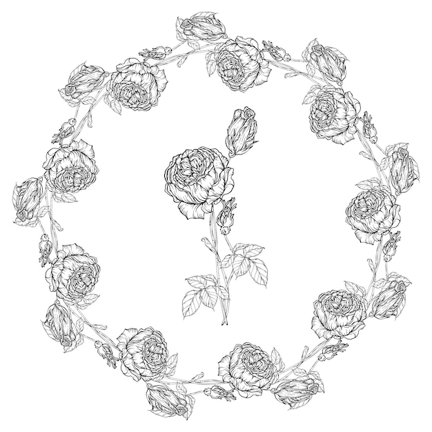 Vector hand-drawn floral set, rose collection, flower wreath.