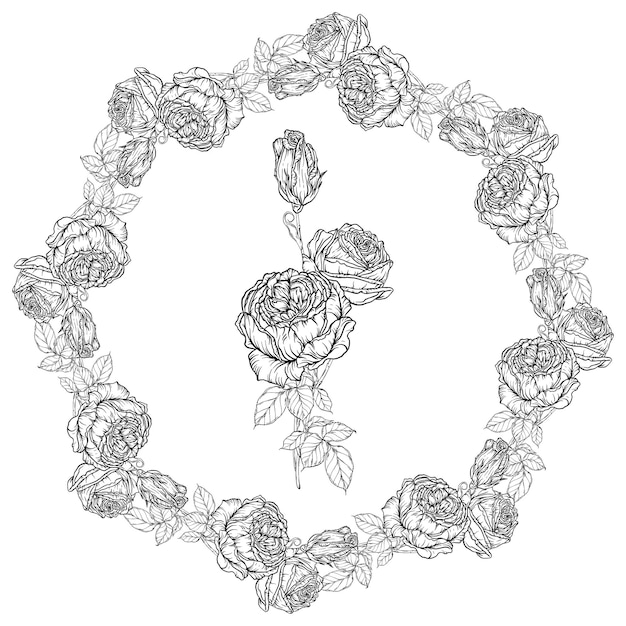 Hand-drawn floral set, rose collection, flower wreath.