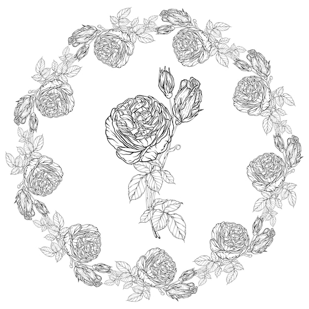 Hand-drawn floral set, Rose Collection, Flower Wreath.