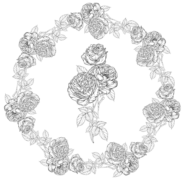 Set floreale disegnato a mano, collezione di rose, ghirlanda di fiori.