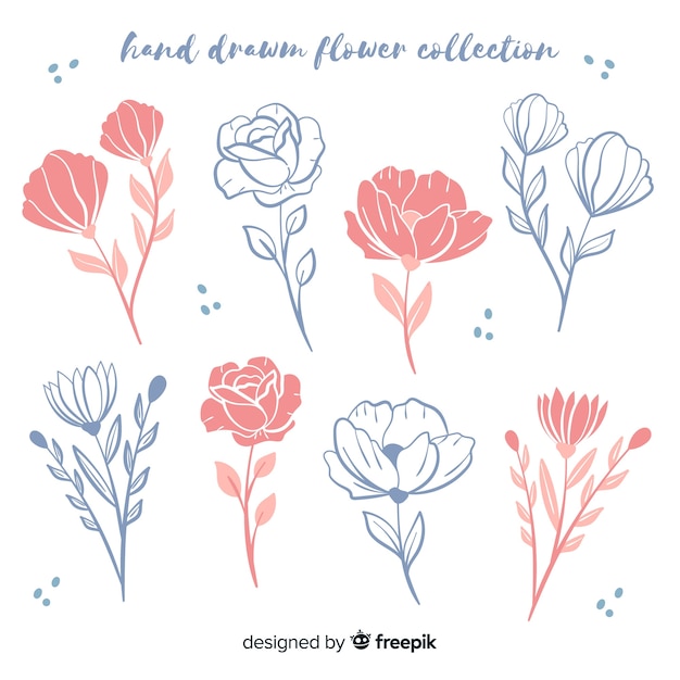 Vector hand drawn floral sketches collection