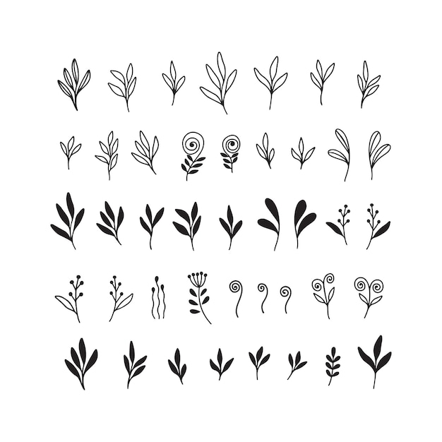 Ручной рисунок цветочного векторного набора ветвей черные растения оставляют травы силуэт