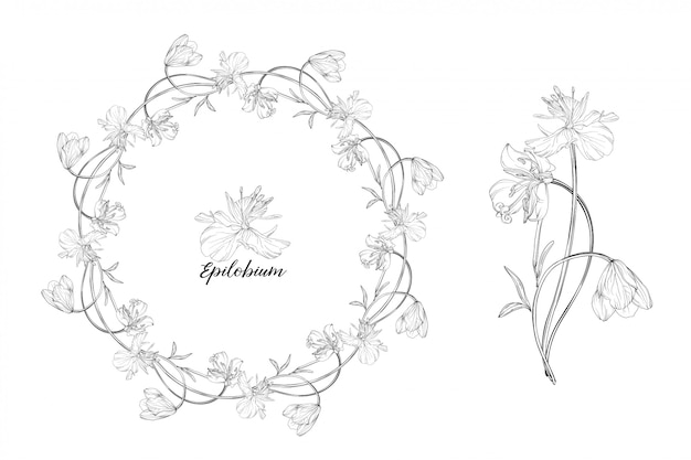 Hand drawn floral wreath and flower illustration