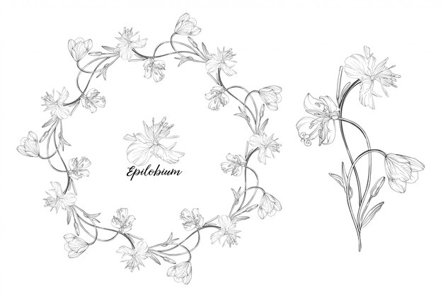 Hand drawn floral wreath and flower illustration