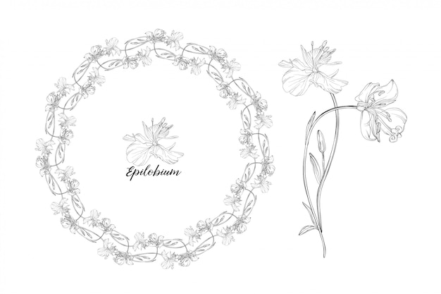 Hand drawn floral wreath and flower illustration