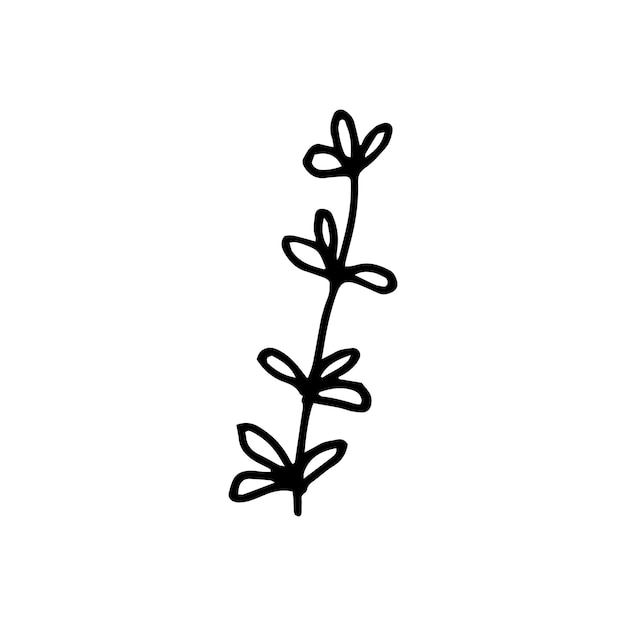 Vector hand drawn floral