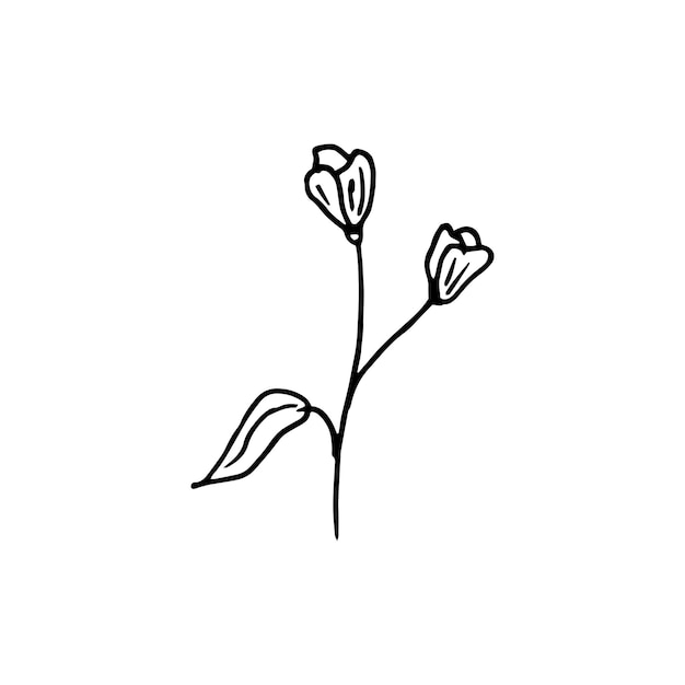 Vector hand drawn floral