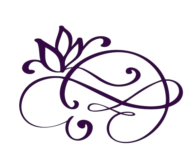 Hand drawn flourish calligraphy elements vector illustration