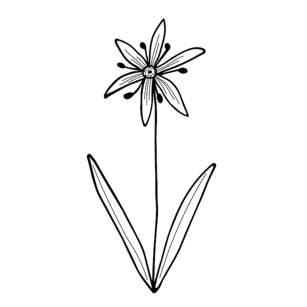ベクトル 手描きの花と枝のドゥードル ベクトルイラスト