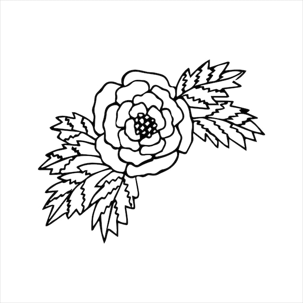 Hand drawn flower bouquet arrangement in black and white color doodle or sketch style