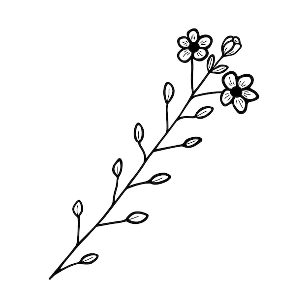 Ручная иллюстрация цветов и ветвей