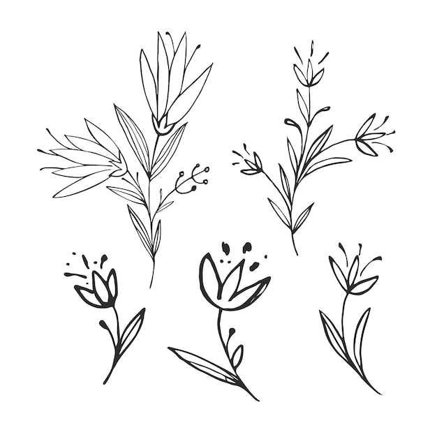 Hand drawn flower and branches doodle Vector illustration