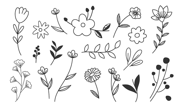 Vector hand drawn flower and branches doodle vector