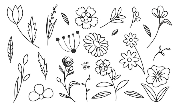 Hand drawn flower and branches doodle vector