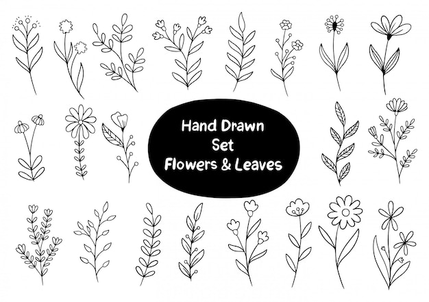 Hand drawn flower collection