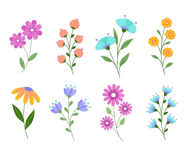 Vector hand drawn flower collection