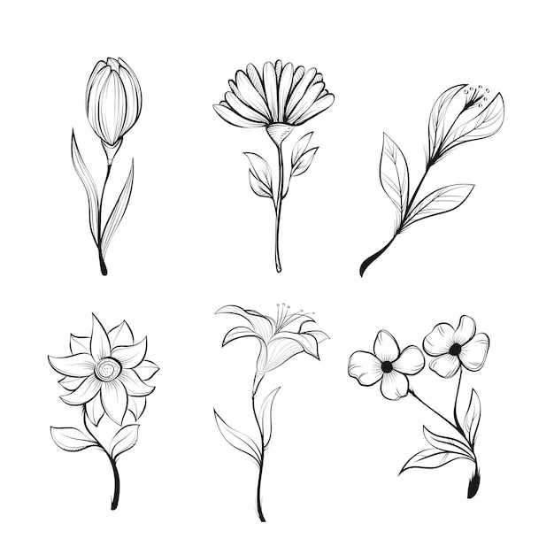 Vector hand drawn flower collection