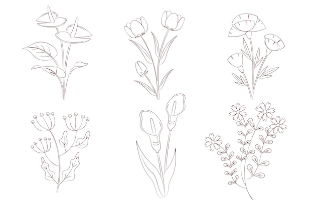 Vector hand drawn flower collection