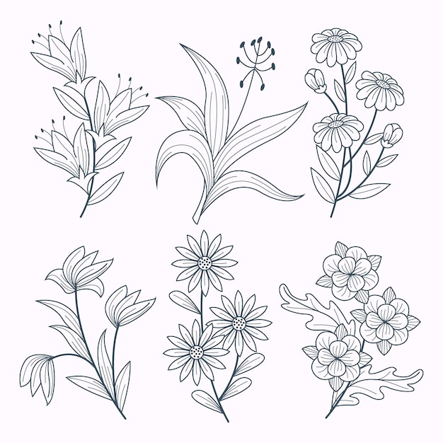 Vector hand drawn flower collection