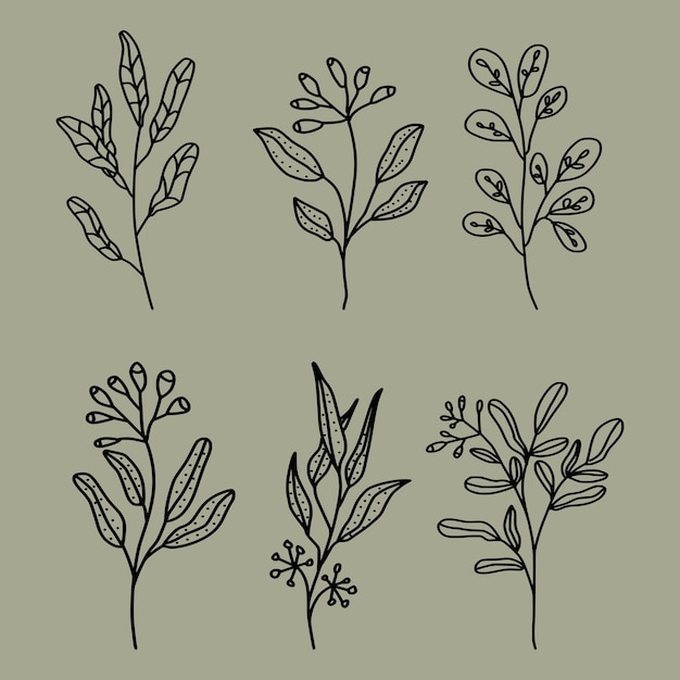 Vector hand drawn flower collection