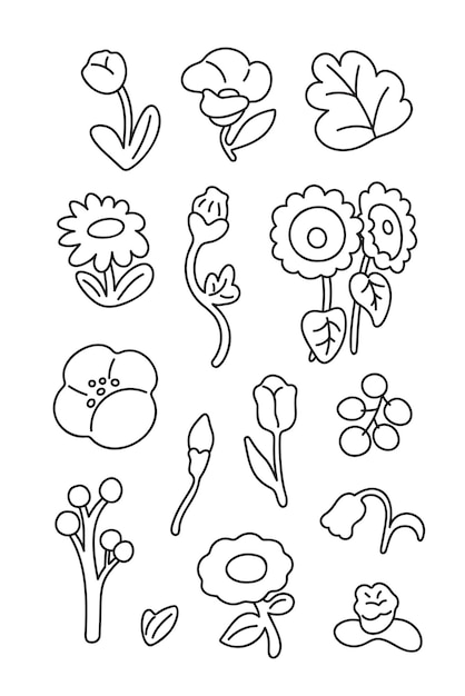 hand drawn flower drawn collection