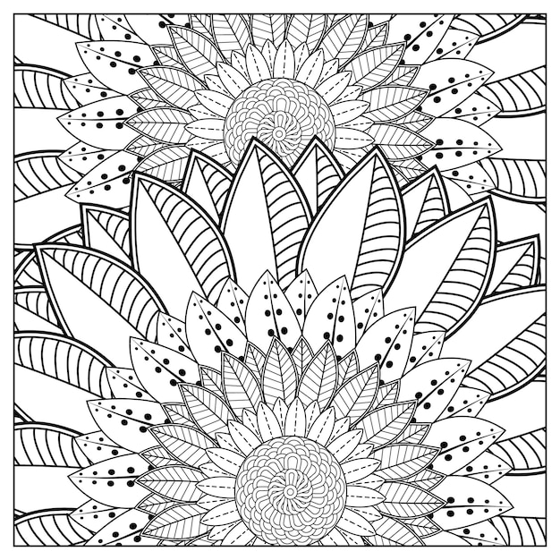 hand drawn flower illustration and flower coloring book for adults